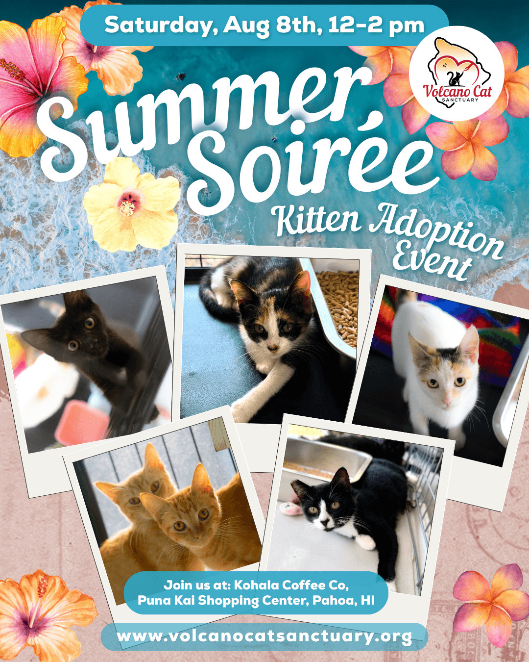 Summer Soiree Kitten Adoption Event!