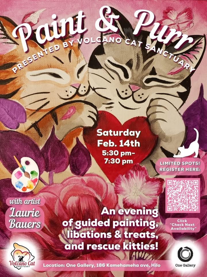 π½π¨π³π¬π΅π»π°π΅π¬'πΊ π·π¨π°π΅π» π¨π΅π« π·πΌπΉπΉ