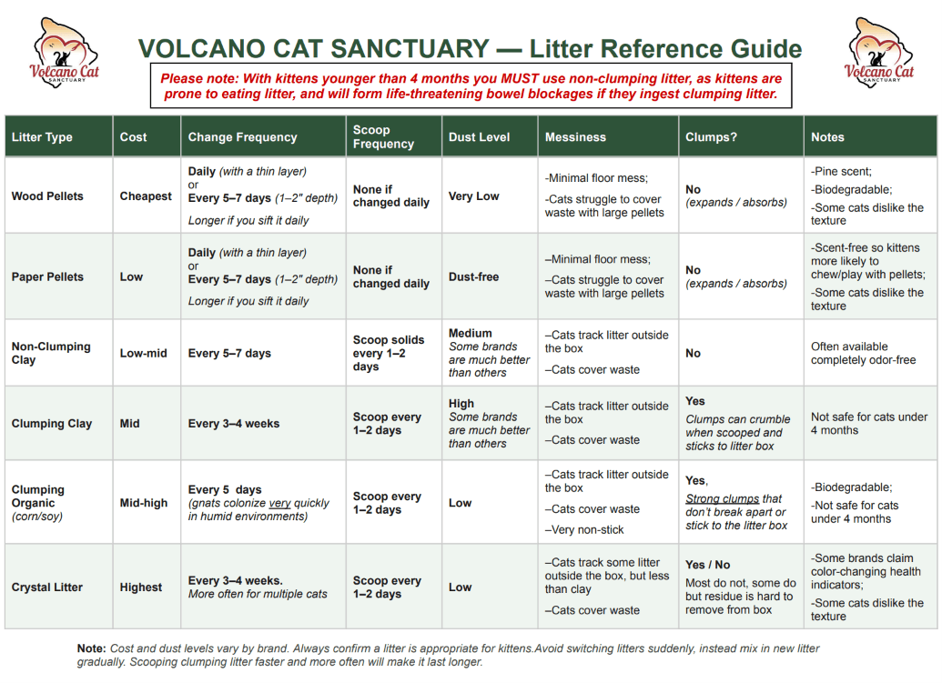 Litter Comparison Guide