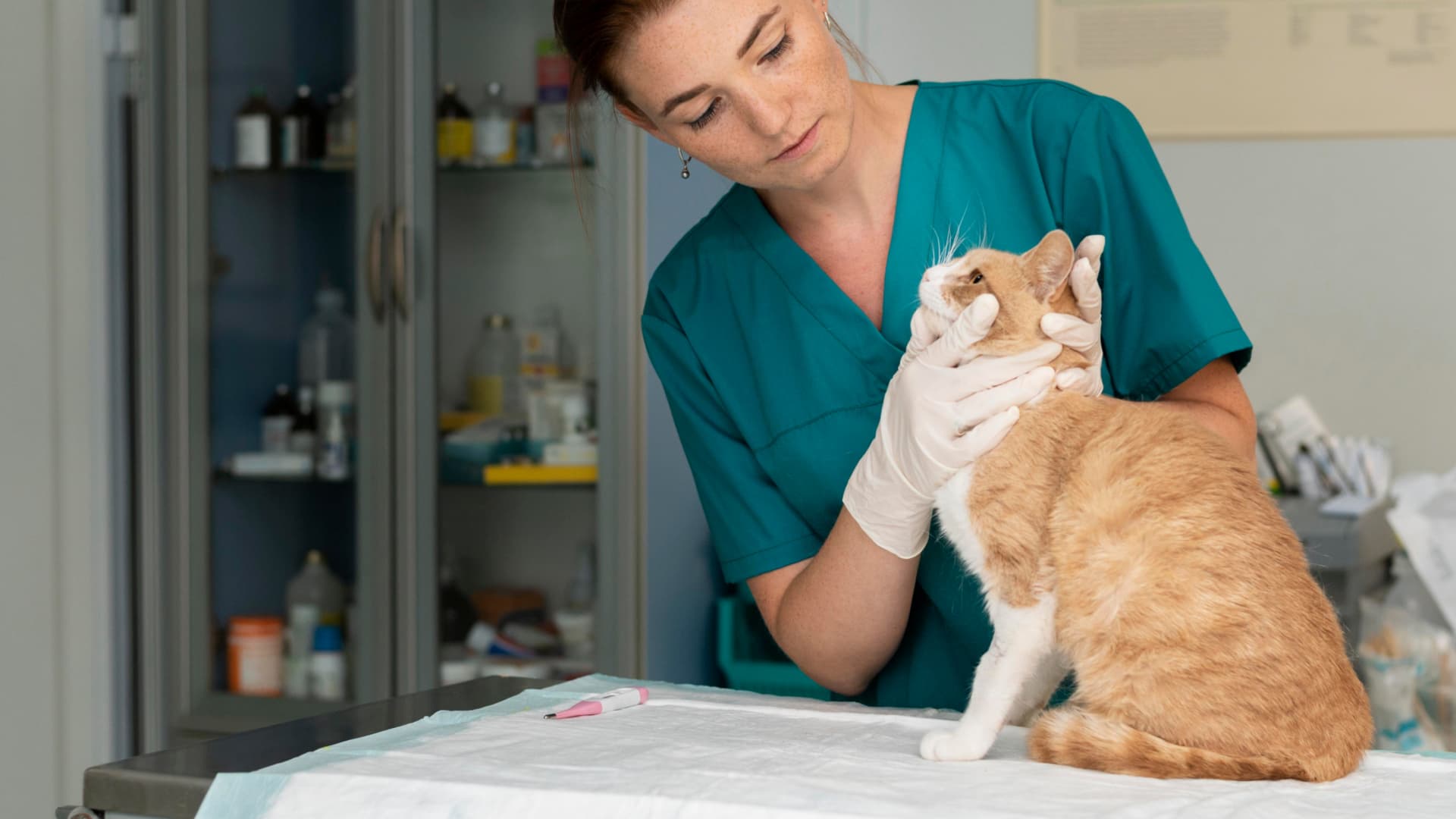 Microchipping your pet